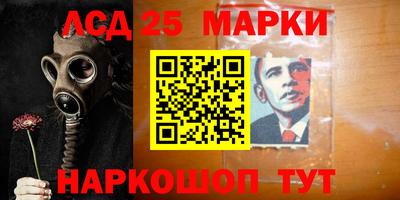 прущие грибы Будённовск
