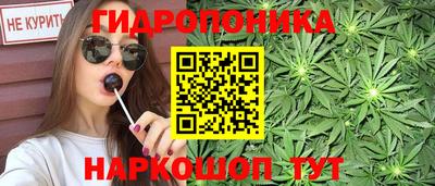 прущие грибы Будённовск