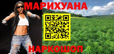 прущие грибы Будённовск