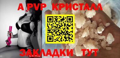 прущие грибы Будённовск