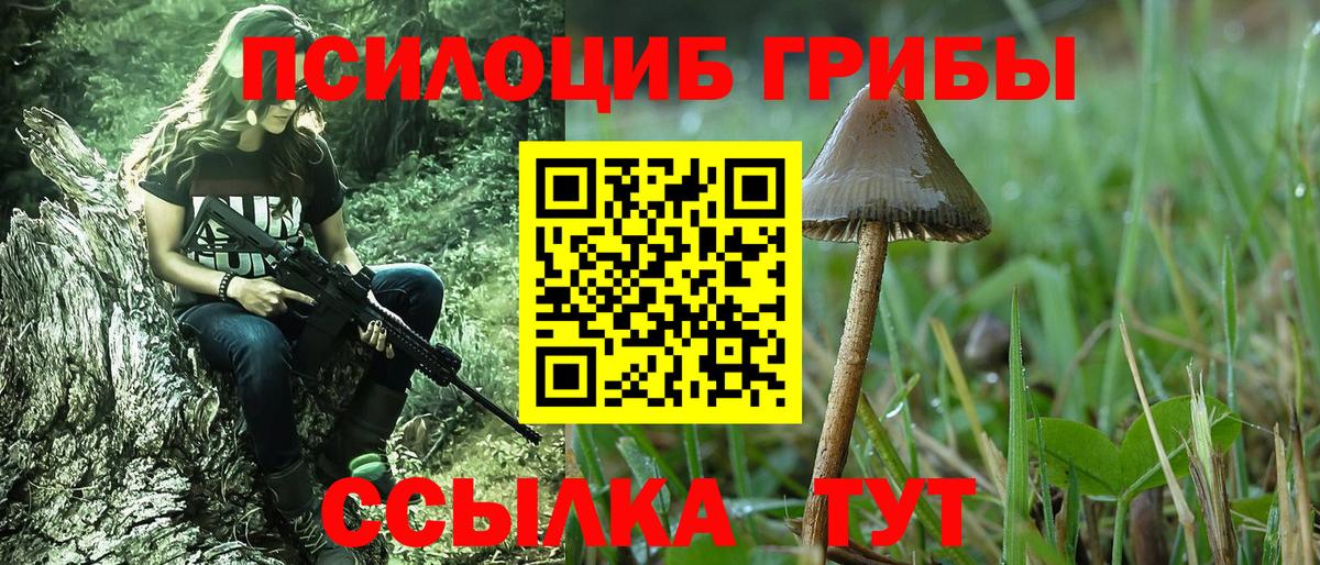 Псилоцибиновые грибы Magic Shrooms  купить наркотики сайты  Южно-Сахалинск  Галлюциногенные грибы ЛСД  Вход с VPN 